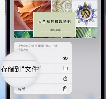 克什克腾apple维修中心分享iPhone文件应用中存储和找到下载文件