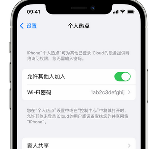 克什克腾apple服务站点分享iPhone上个人热点丢失了怎么办