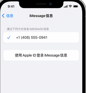 克什克腾apple维修iPhone上无法正常发送iMessage信息 