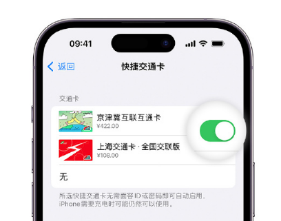 克什克腾apple维修点分享iPhone上更换Apple Pay快捷交通卡手绘卡面 