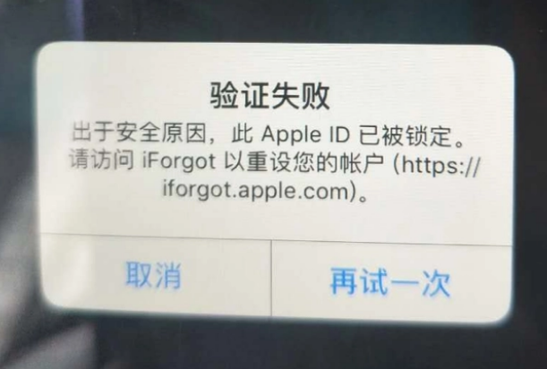 克什克腾iPhone维修分享iPhone上正常登录或使用AppleID怎么办 