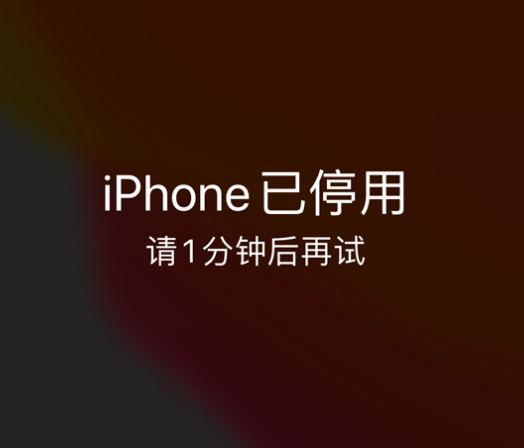 克什克腾苹果手机维修分享:iPhone 显示“不可用”或“已停用”怎么办？还能保留数据吗？ 