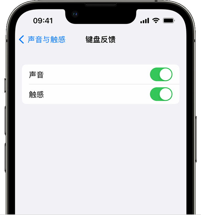 克什克腾苹果14维修店分享如何在 iPhone 14 机型中使用触感键盘 