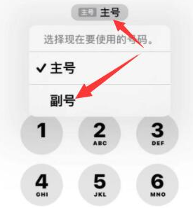 克什克腾苹果14维修店分享iPhone 14 Pro Max使用副卡打电话的方法 