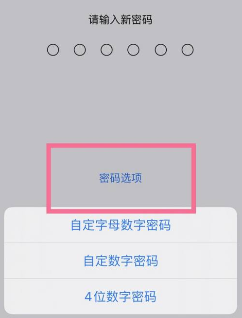 克什克腾苹果14维修分享iPhone 14plus设置密码的方法 