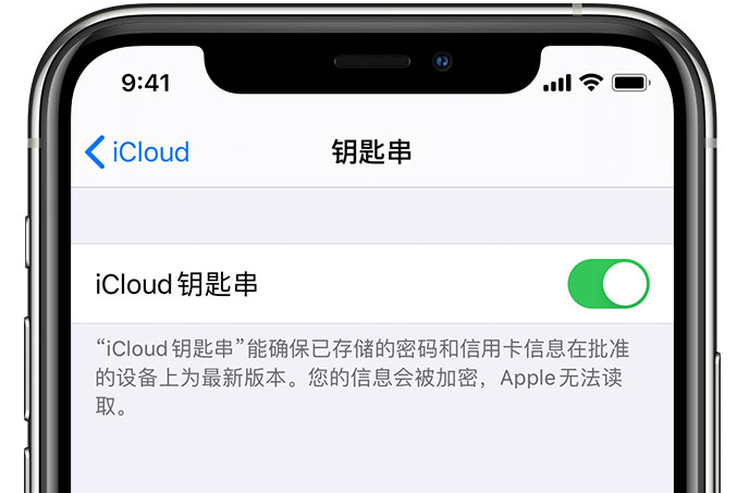 克什克腾苹果手机维修分享在 iPhone 上开启 iCloud 钥匙串之后会储存哪些信息 