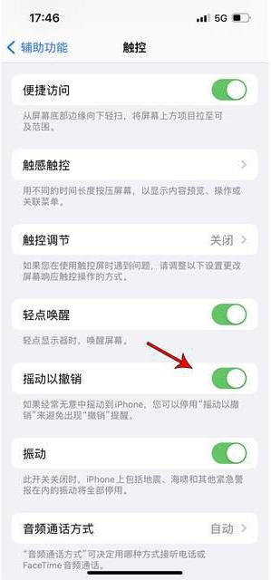 克什克腾苹果手机维修分享iPhone手机如何设置摇一摇删除文字 